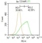 FARP1 Polyclonal Antibody
